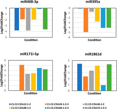 An Insight Into Pentatricopeptide-Mediated Chloroplast Necrosis via microRNA395a During Rhizoctonia solani Infection